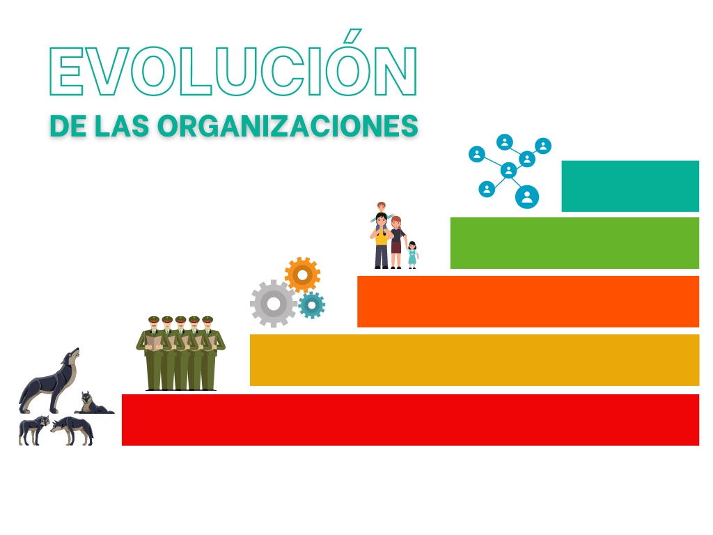 La evolución de las organizaciones-3